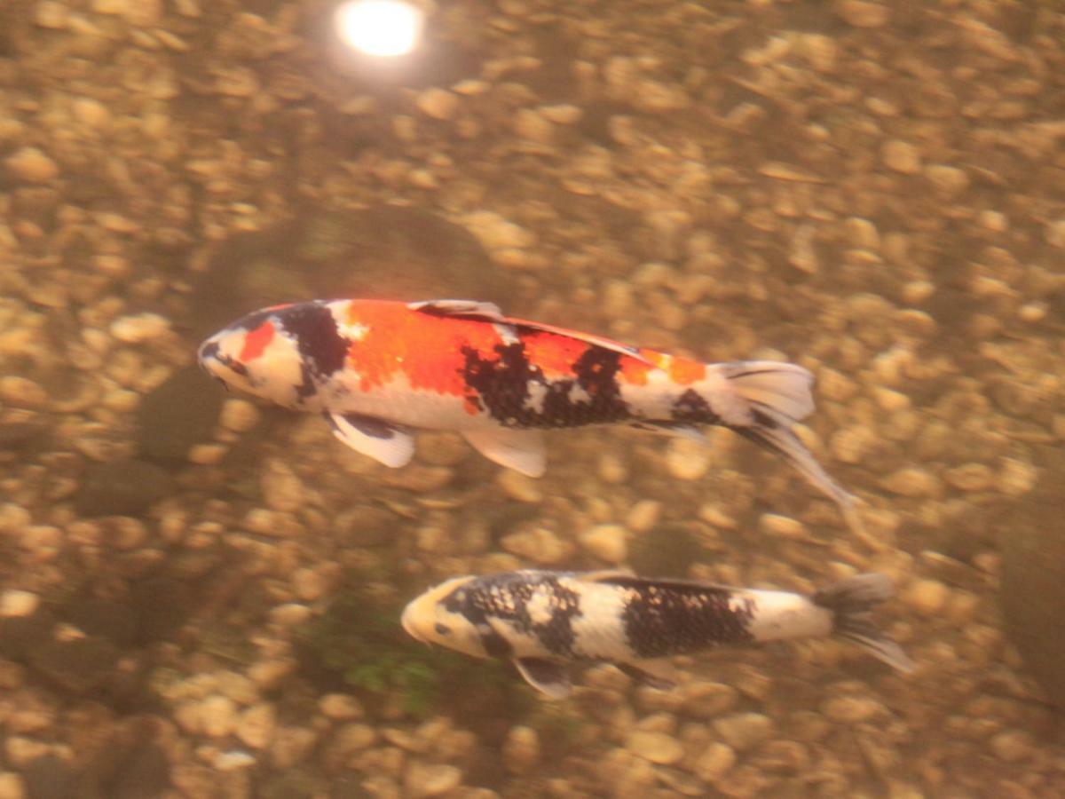 Yamashiro Onsen Miyabi No Yado Kaga Hyakumangoku Hotel Buitenkant foto